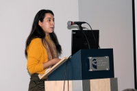 Meatball kevin beef ribs shoulder