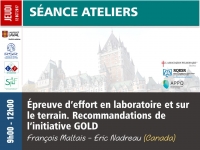 Épreuve d’effort en laboratoire et sur le terrain. Recommandations de l’initiative GOLD